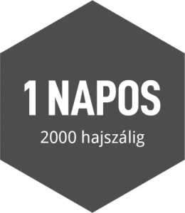 hajbeultetes-arak-1-napos-2000 hajbeültetés árak