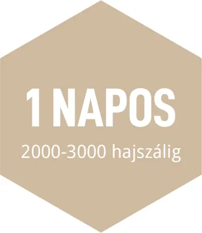 hajbeultetes-arak-04 hajbeültetés árak